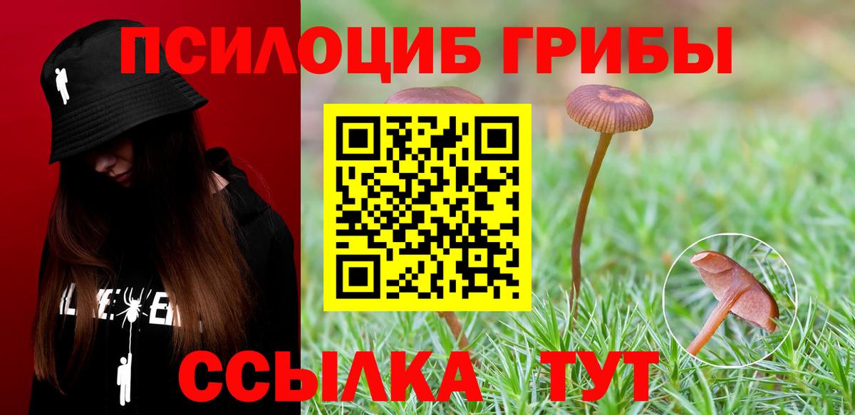 Псилоцибиновые грибы GOLDEN TEACHER Пенза