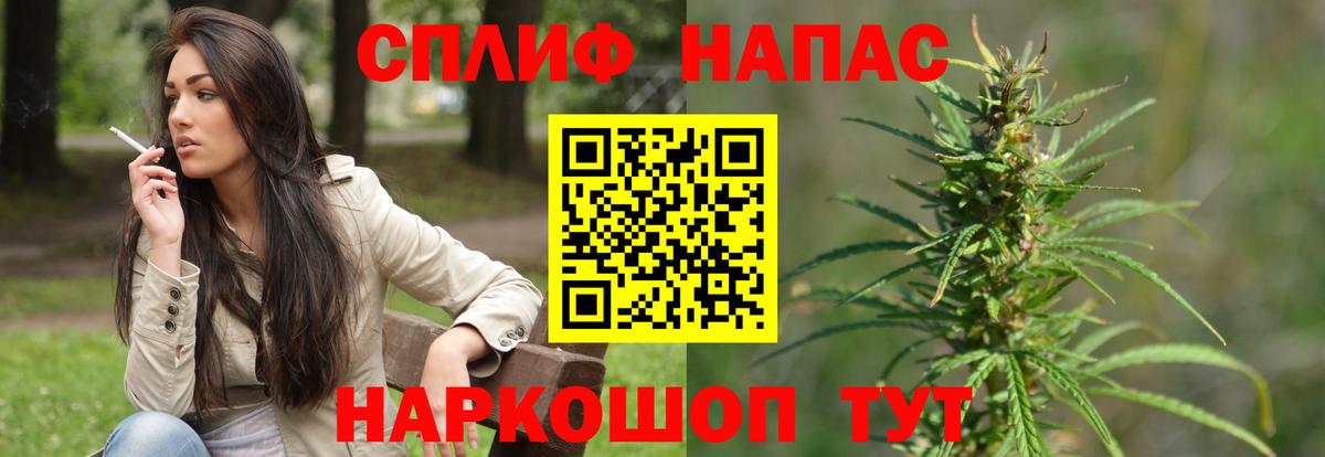 Бошки Шишки ГИДРОПОН Пенза